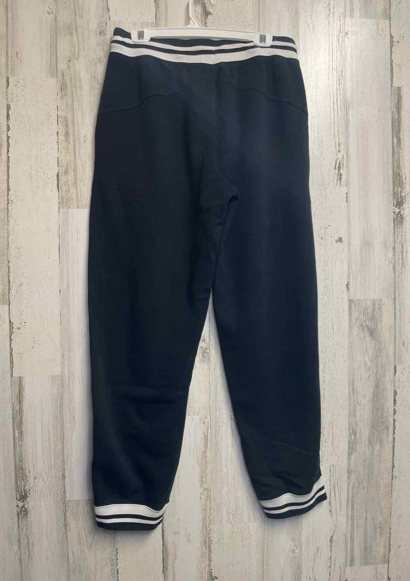 Size L Air Jordan Pants