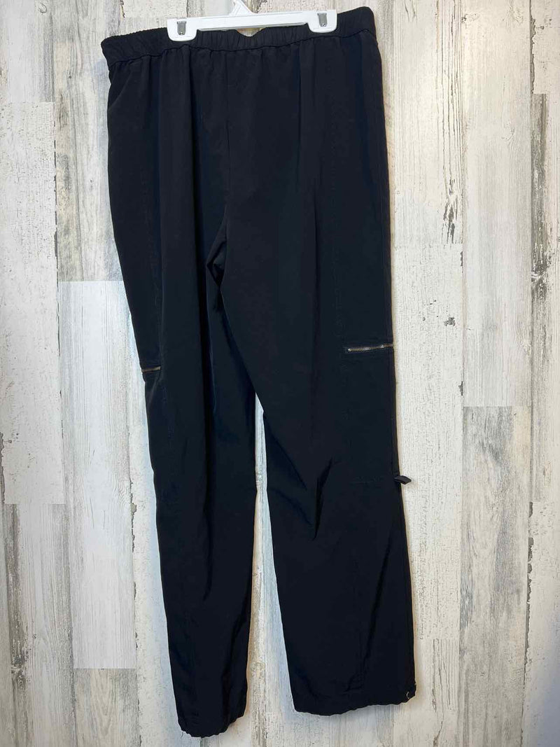 Size 12 Chico's Pants