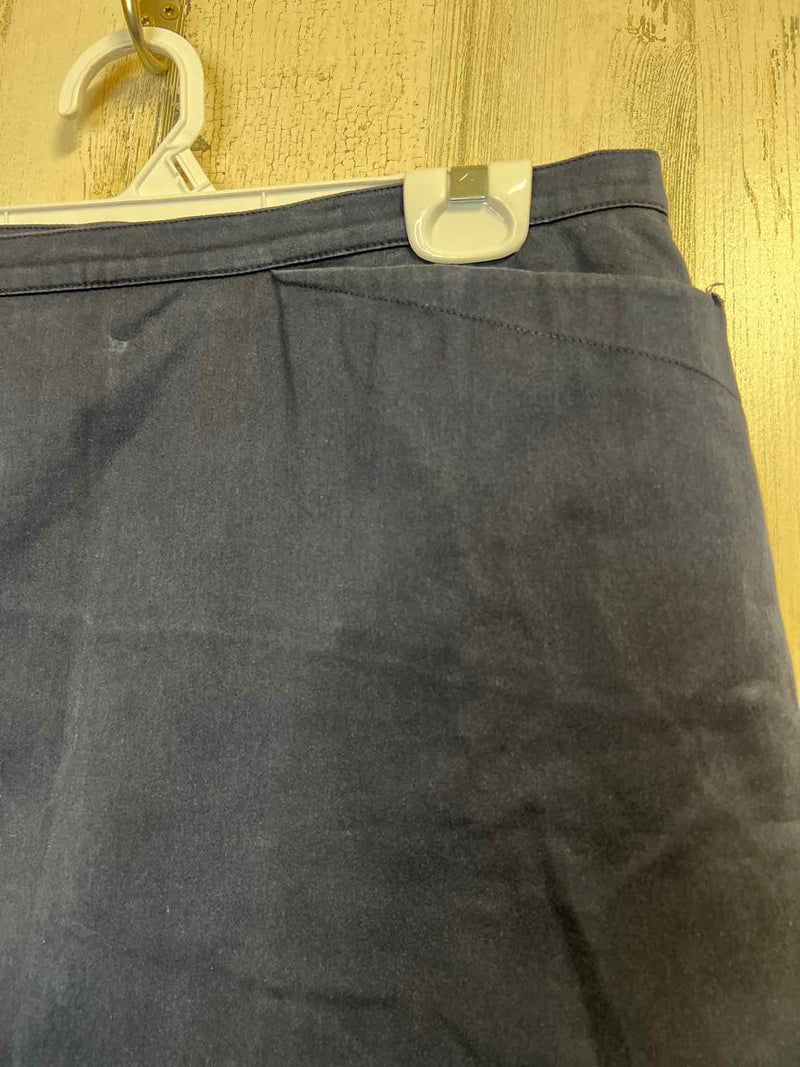 Size 44 agnes b. Skirt