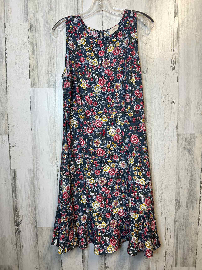 Size 14 Loft Dress