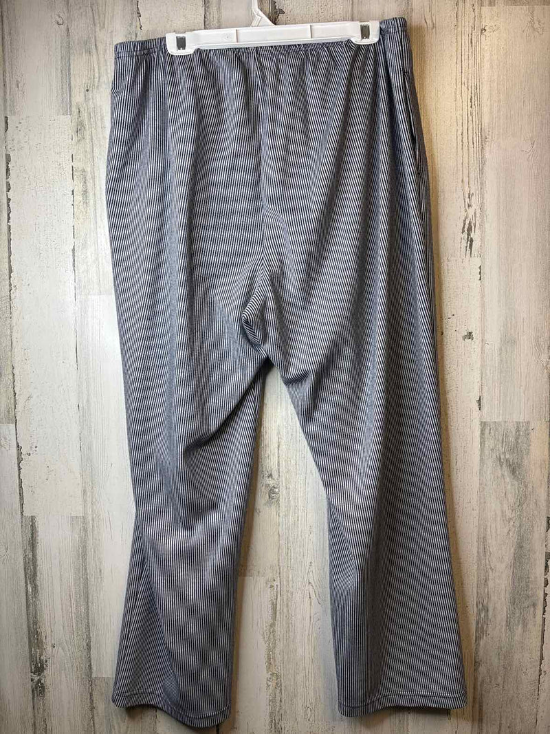 Size 2X Draper's & Damon's Pants