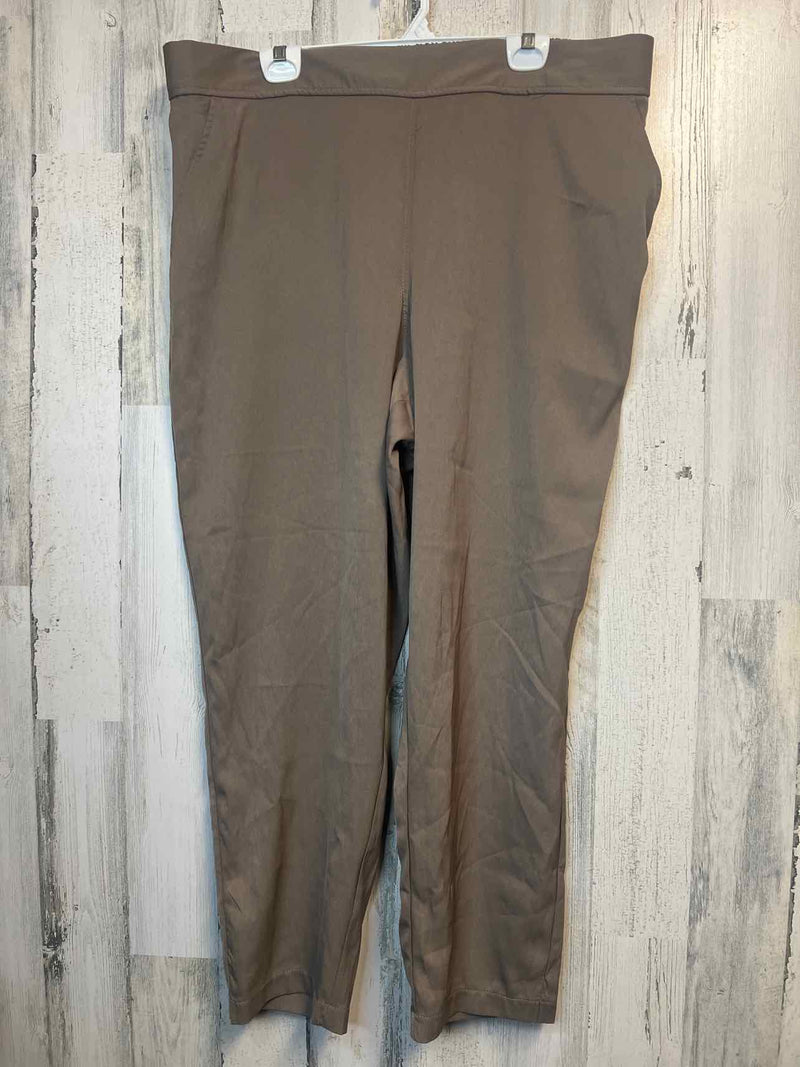 Size 2X Max Studio Pants