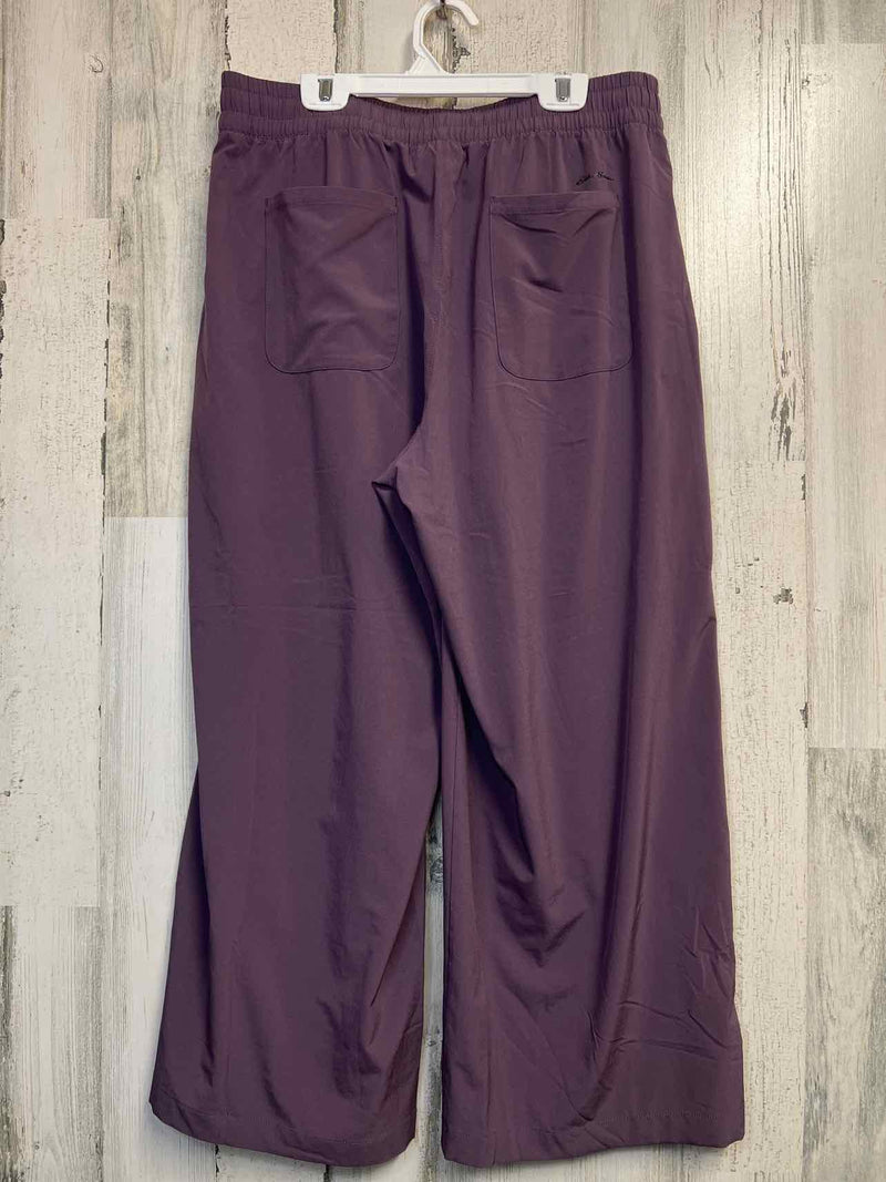 Size M Eddie Bauer Pants