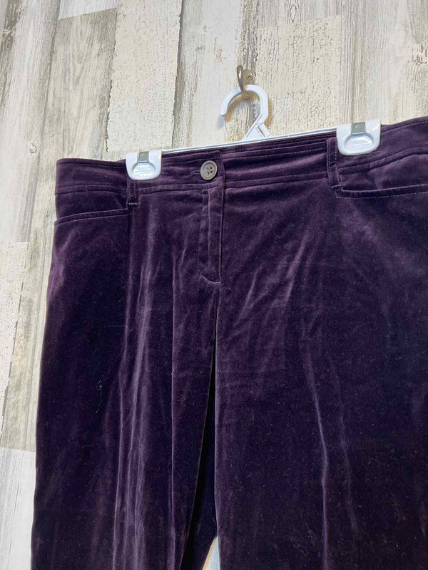 Size 12 Ann Taylor Loft Pants