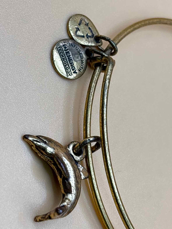 Alex and Ani Bracelet