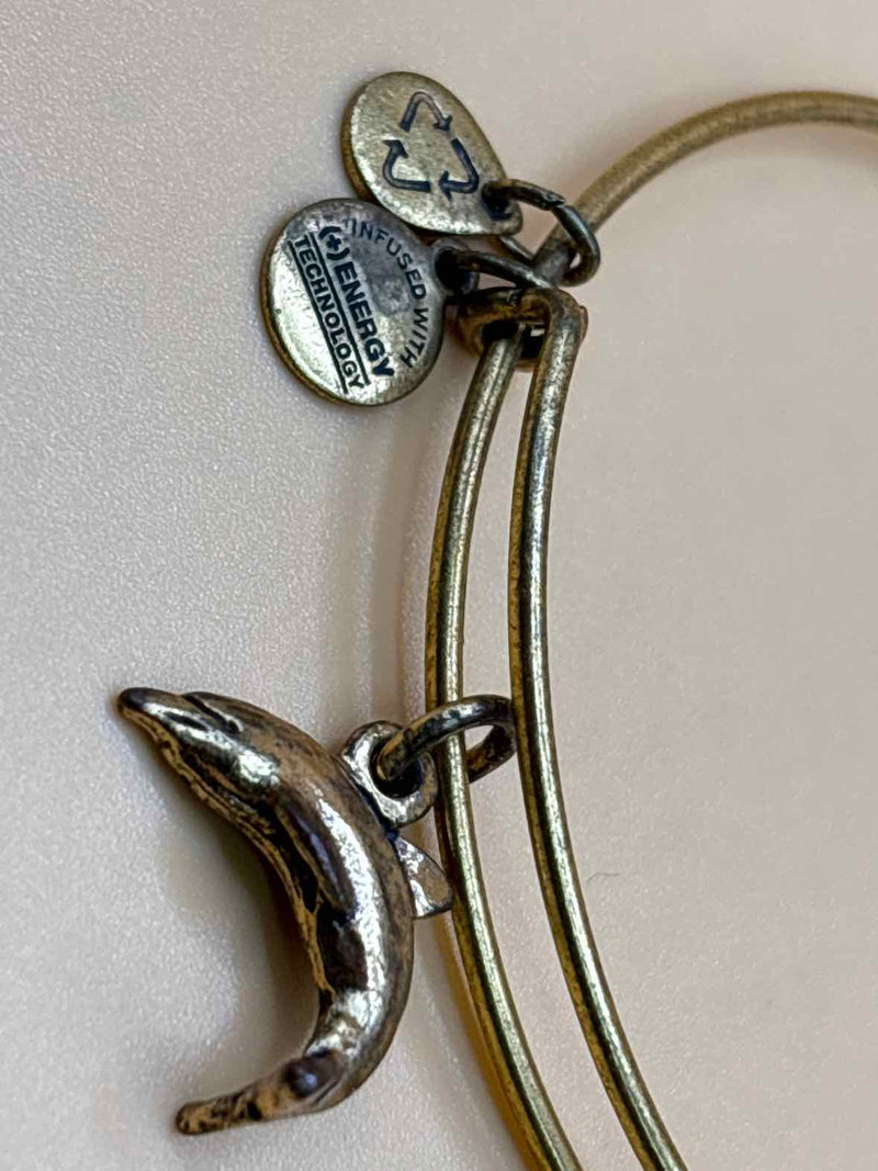 Alex and Ani Bracelet