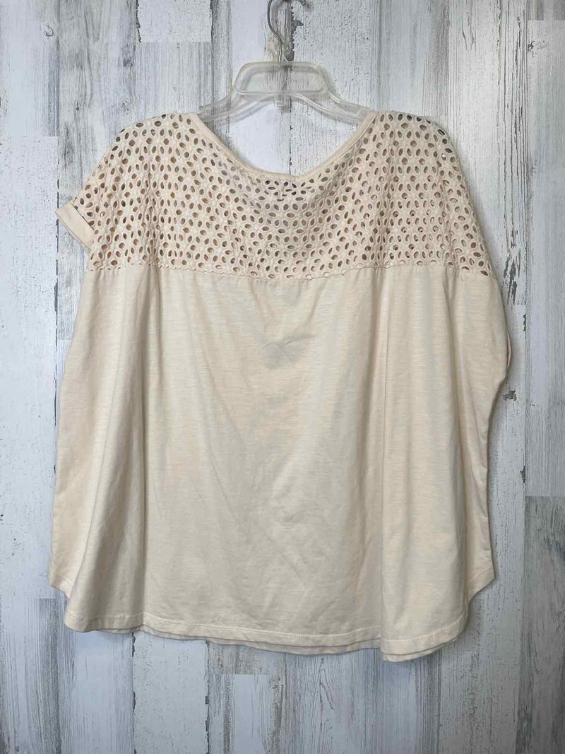 Lane BRYANT Size 22/24 Shirt