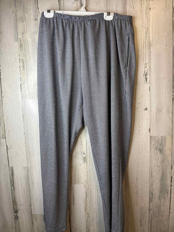 Size 2X Draper's & Damon's Pants
