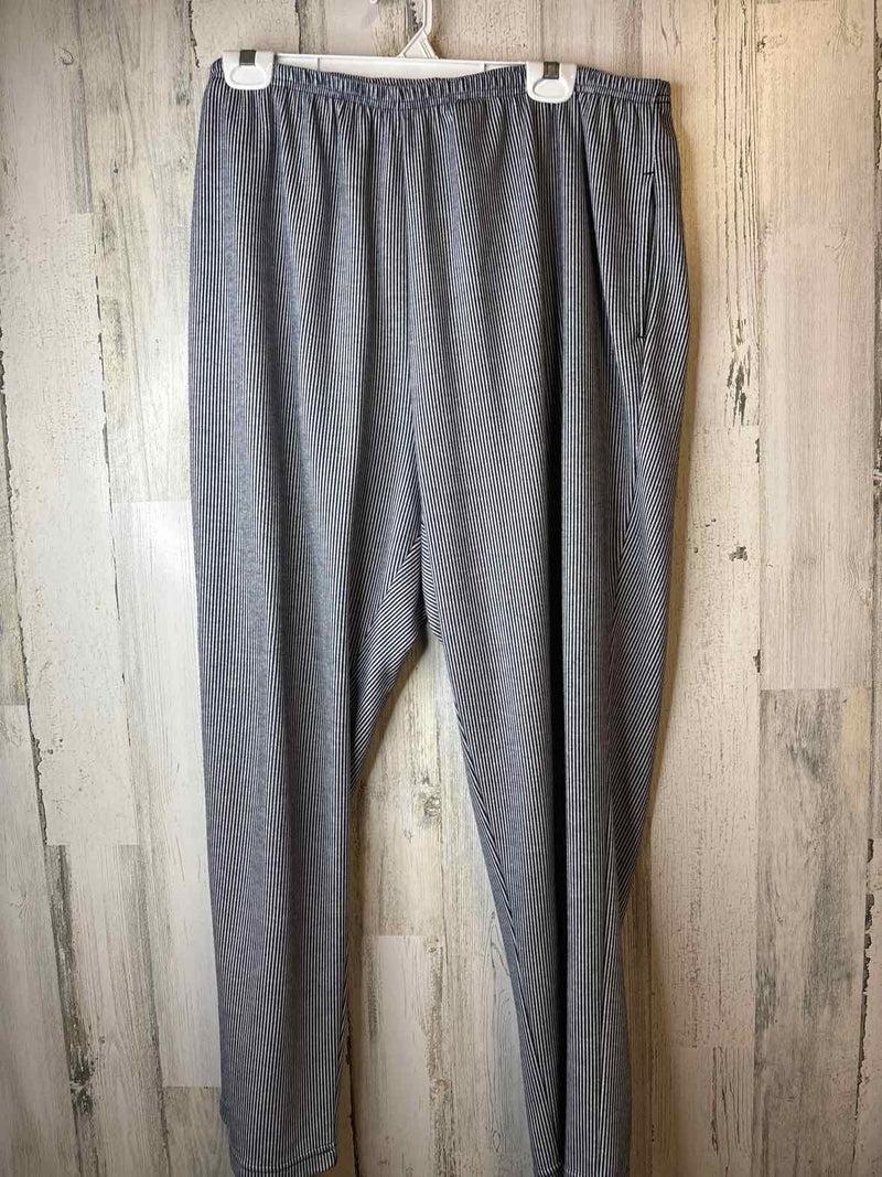 Size 2X Draper's & Damon's Pants