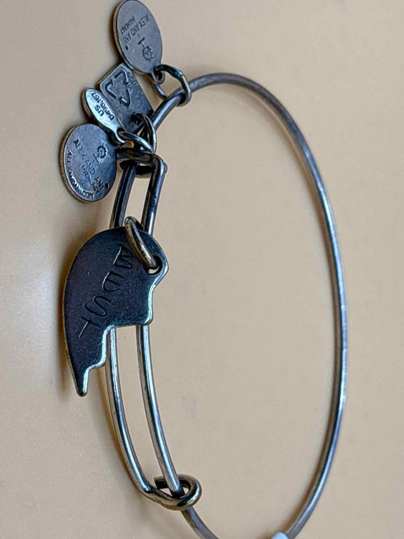 Alex and Ani Bracelet