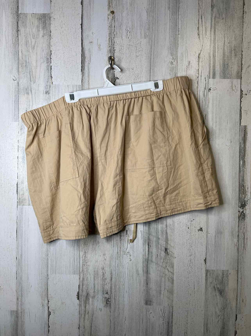 Size 4X Boutique Shorts