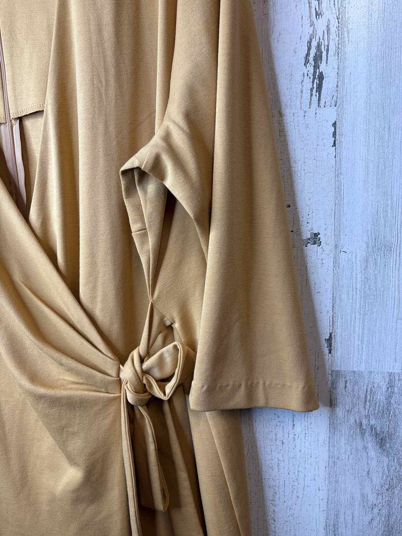 Size 2X Jeffrey Banks Dress