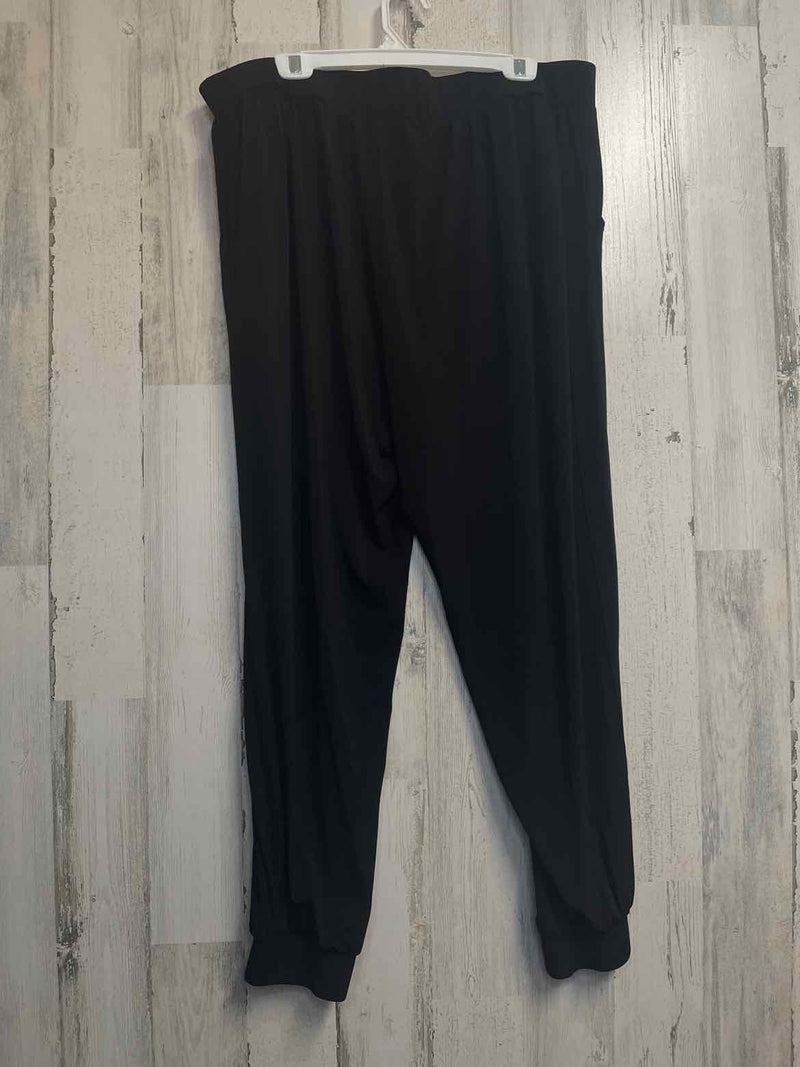 Size XL Lisa Rinna Pants