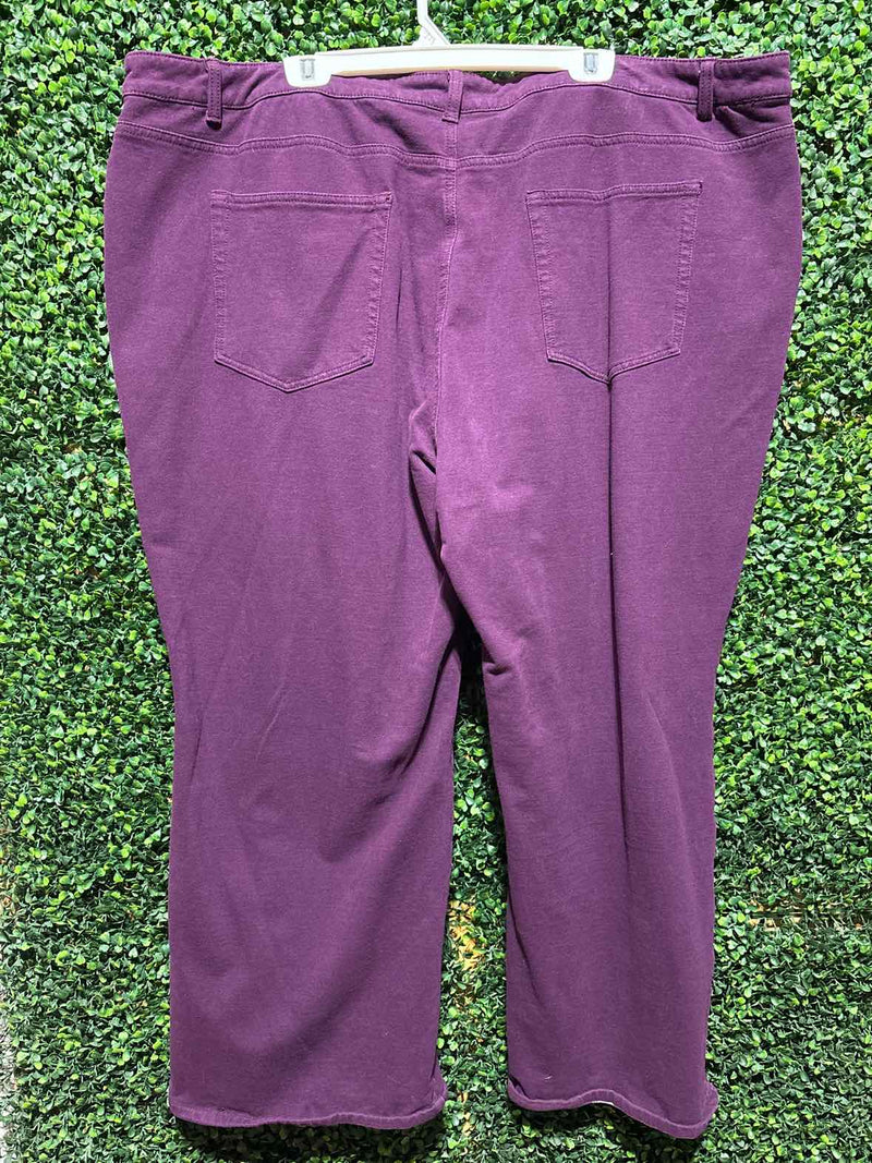 Size 28 Boutique Jeans