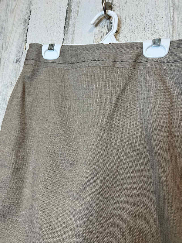 Size 0 Banana Republic Skirt