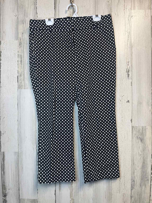 Size 10 J.Crew Pants