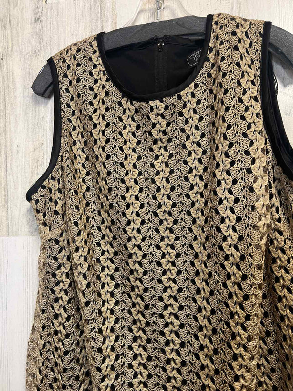 Size 14 Dressbarn Dress