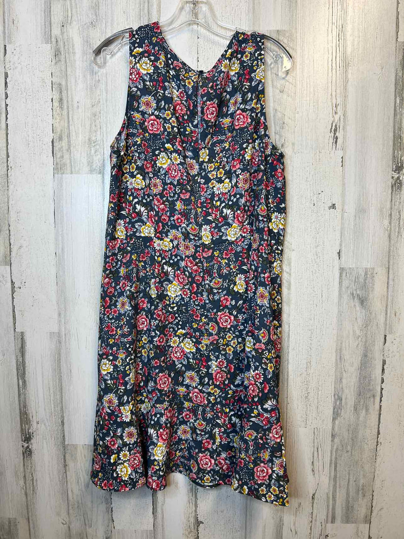 Size 14 Loft Dress