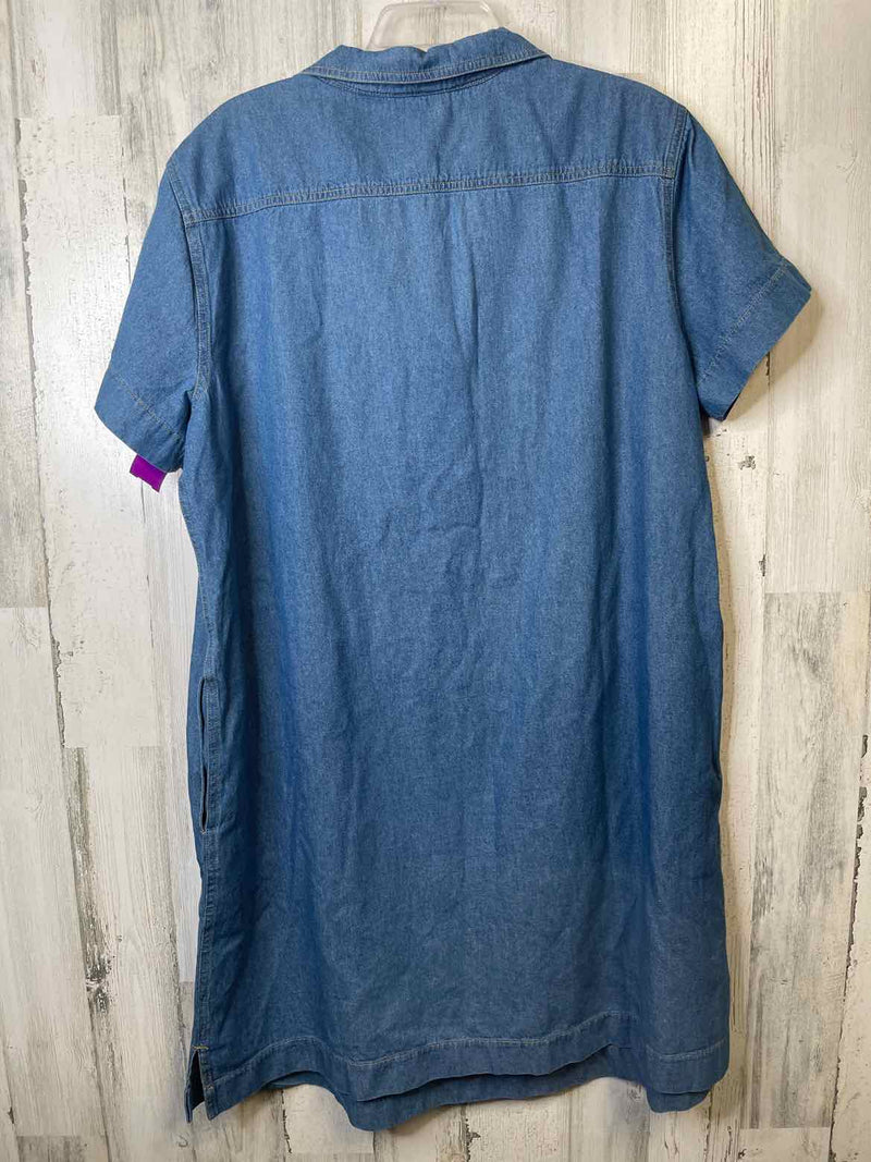 Size XL Boutique Dress