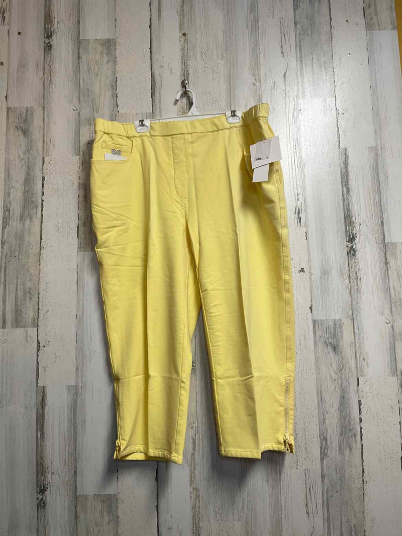 Size 2X Boutique Pants