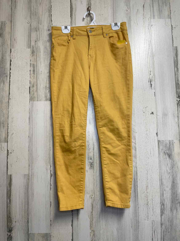 Size 8 Artisan NY Pants