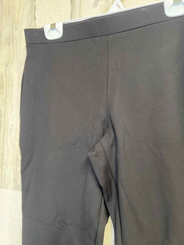 Size 8 Chico's Pants