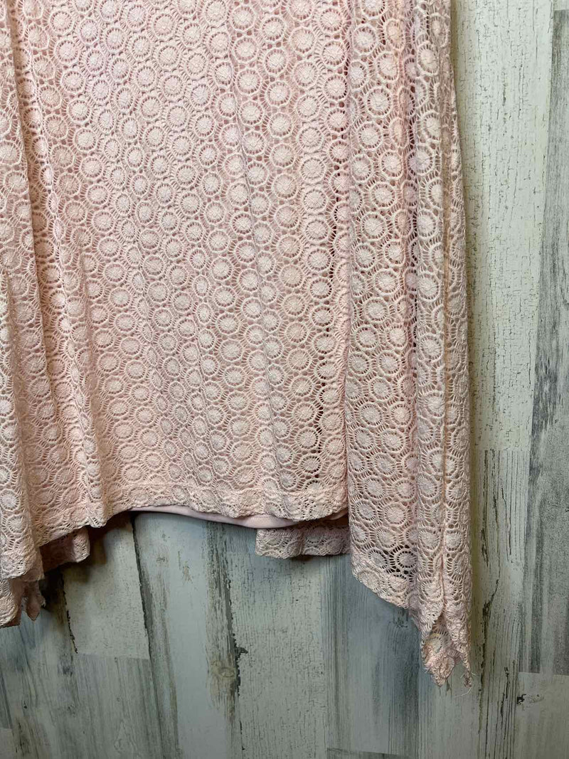Size 22/24 Lane BRYANT Dress