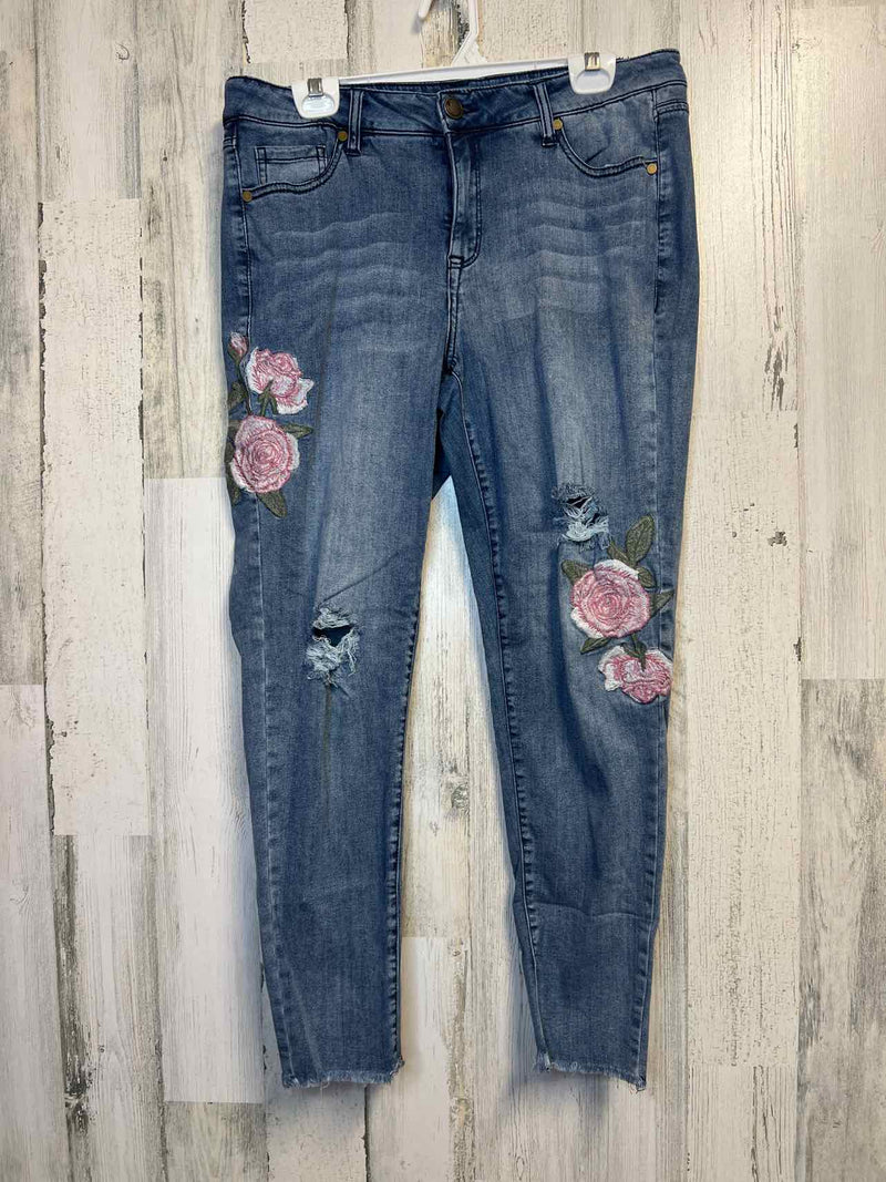 Size 14 Lane BRYANT Pants