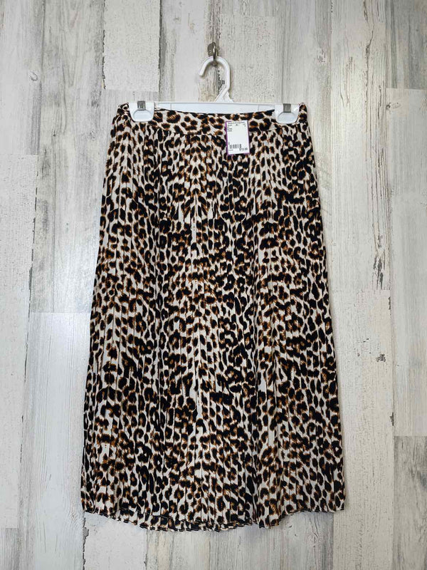 Size 0 Express Skirt