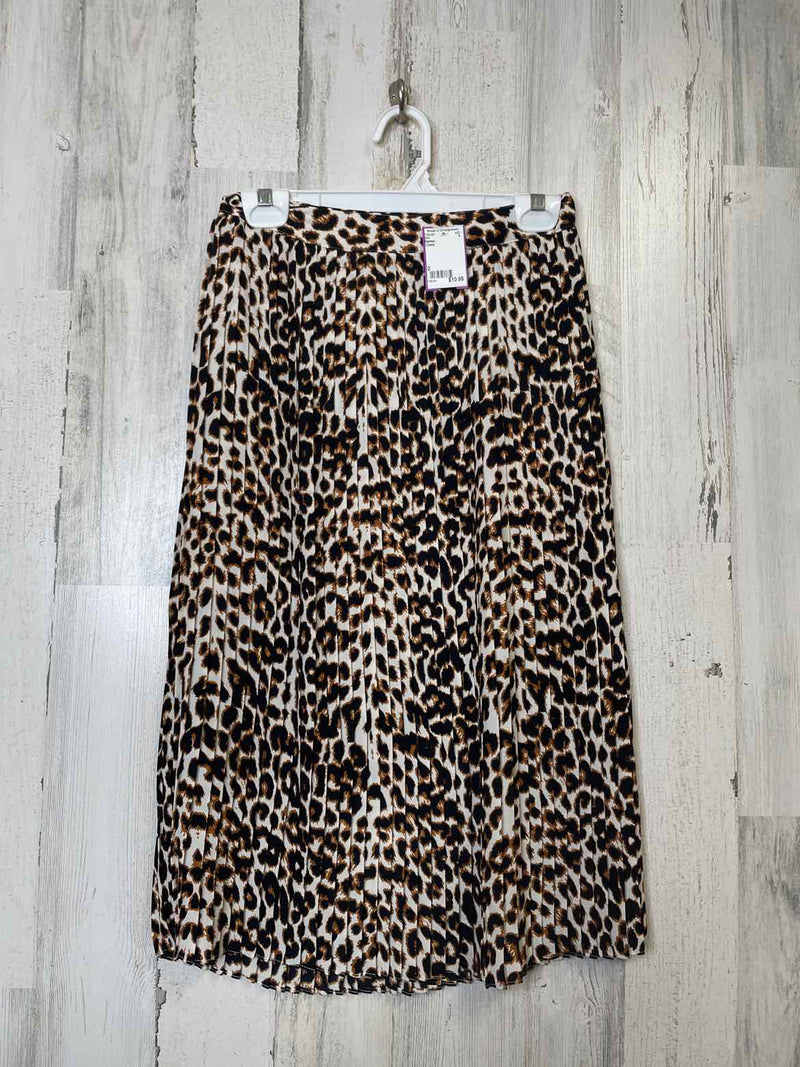 Size 0 Express Skirt