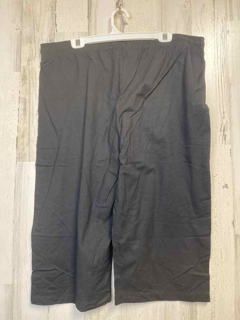 Size XL Champion Pants