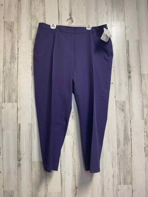 Size 24 Boutique Pants
