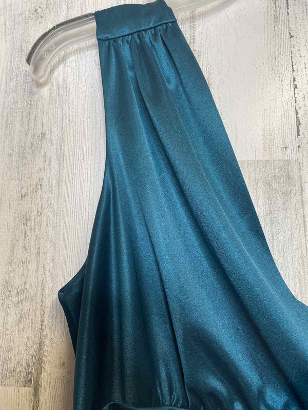 Size 14 Dressbarn Dress