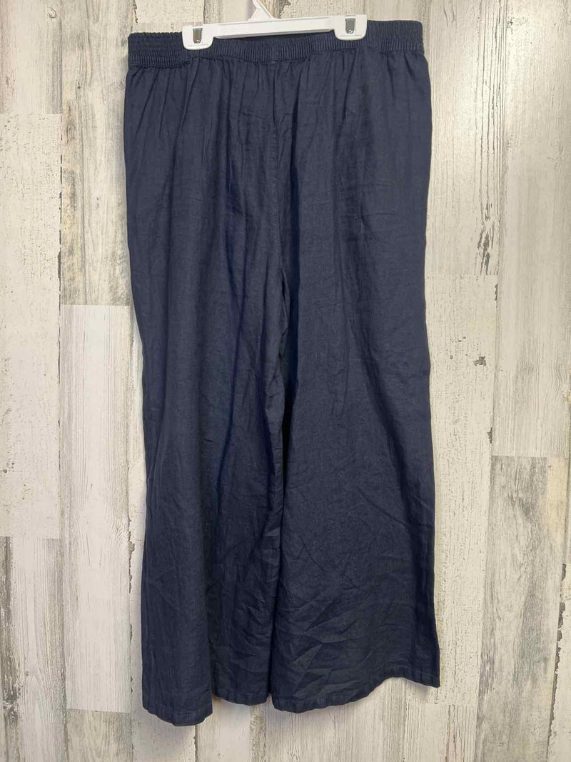 Size XL Tahari Pants