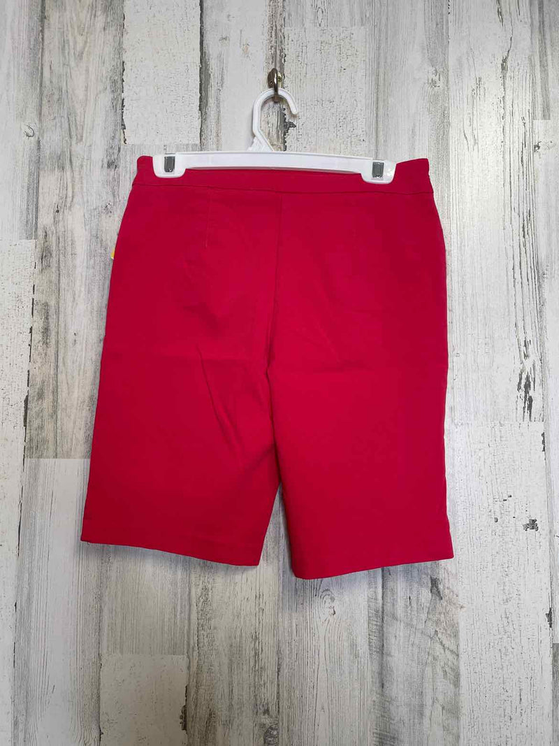 Size M Boutique Shorts