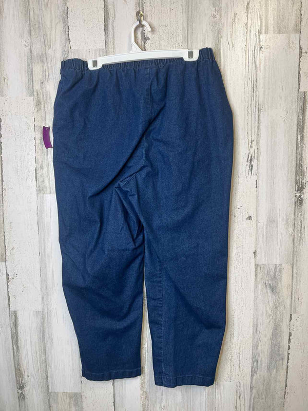 Size 22 Woman Within Pants