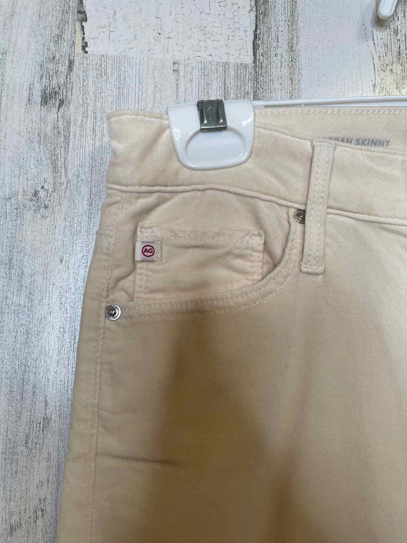 Size 2 Adriano Goldschmied Pants