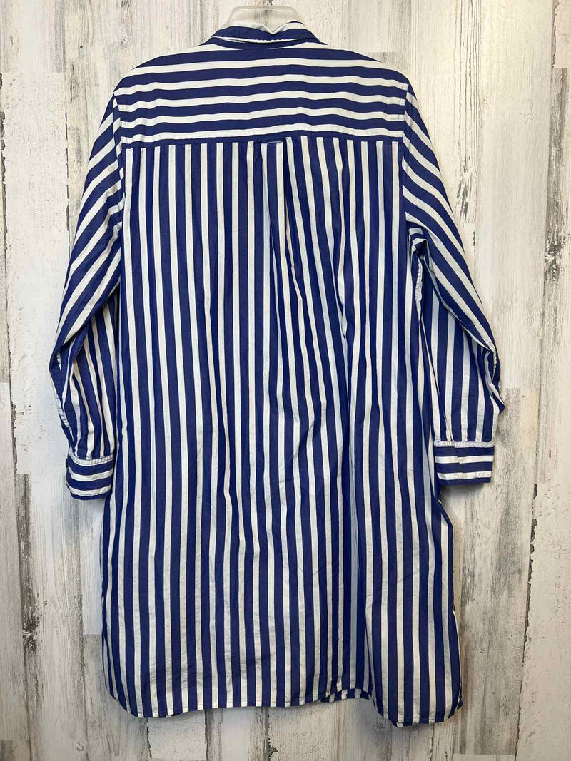 Size XL J.Crew Dress