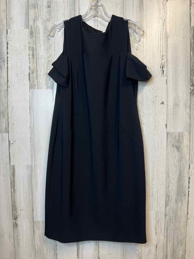 Size 10 Chico's Dress