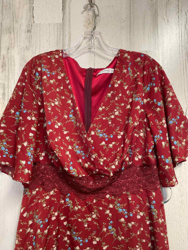 Size 2X Boutique Dress