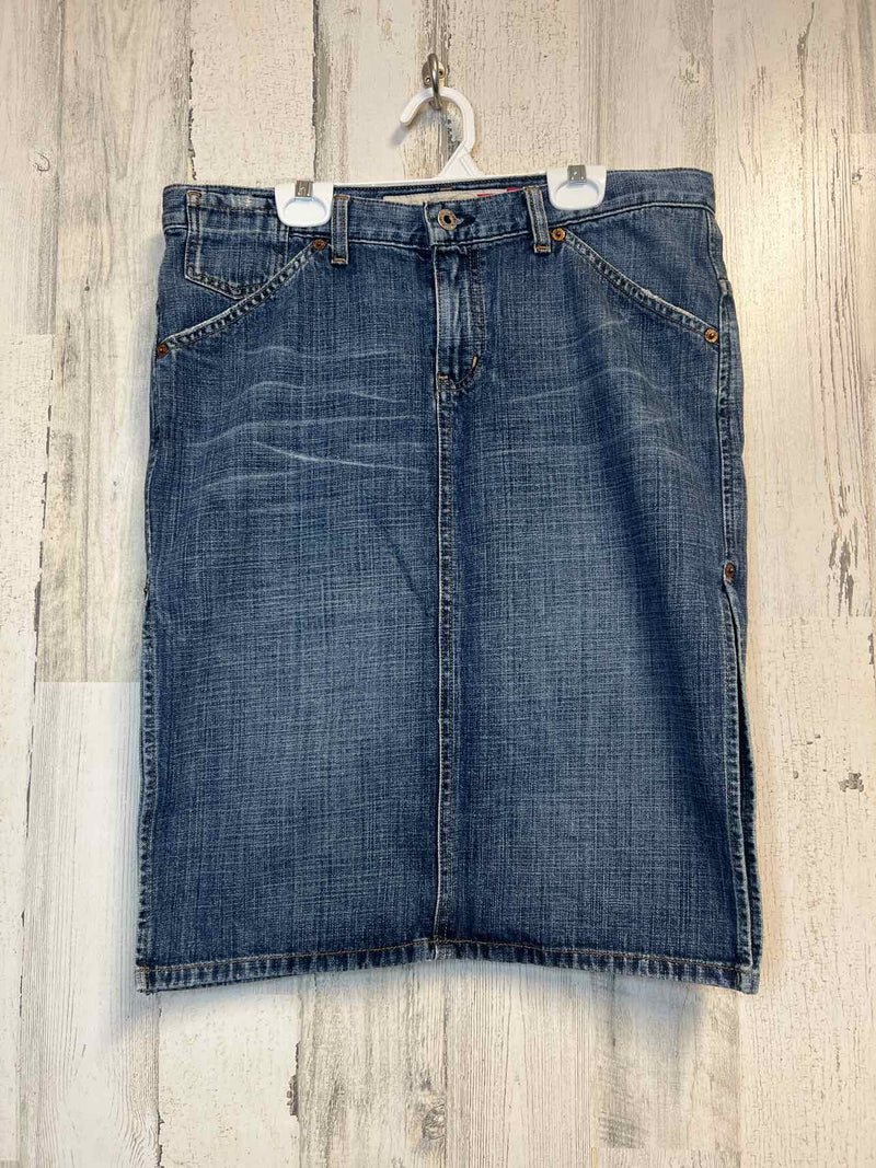 Size 8 Guess Skirt