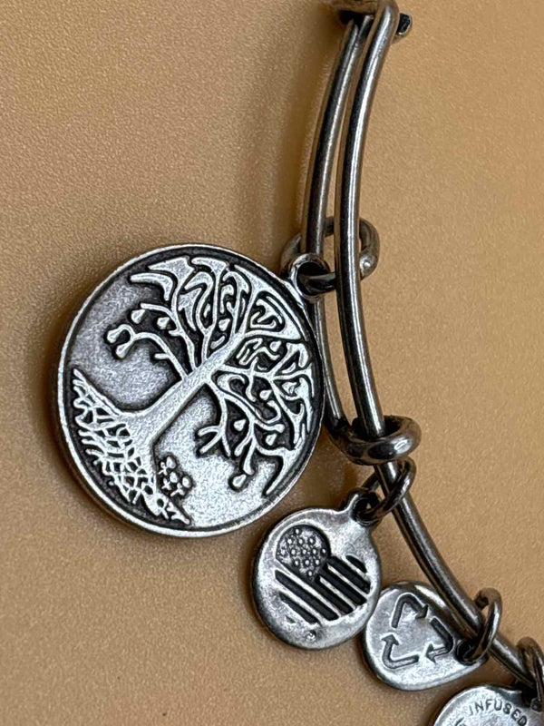 Alex and Ani Bracelet