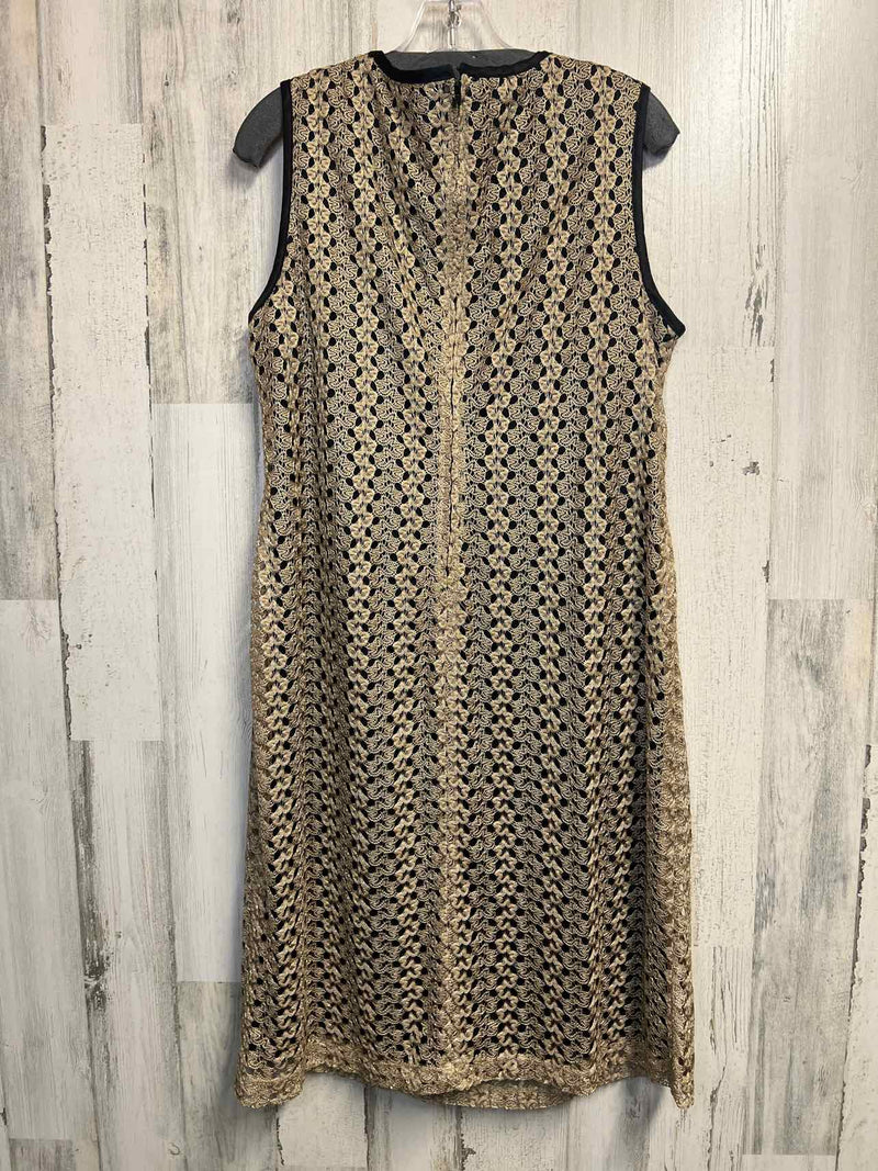 Size 14 Dressbarn Dress