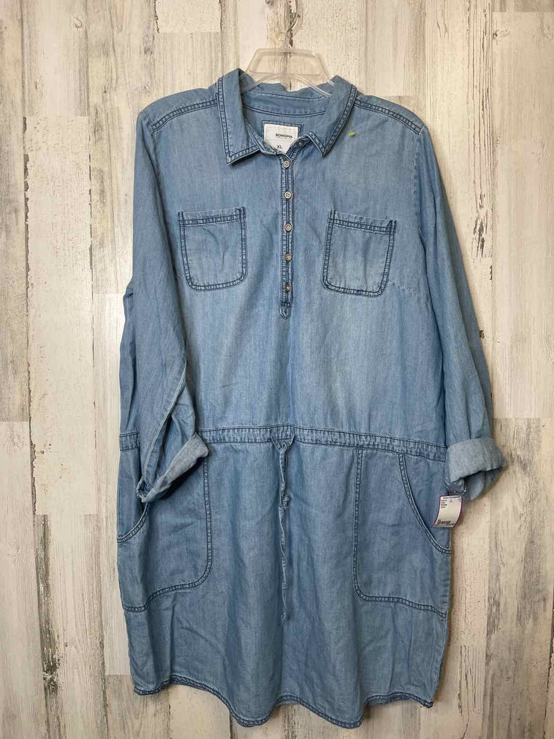 Size XL Sonoma Dress