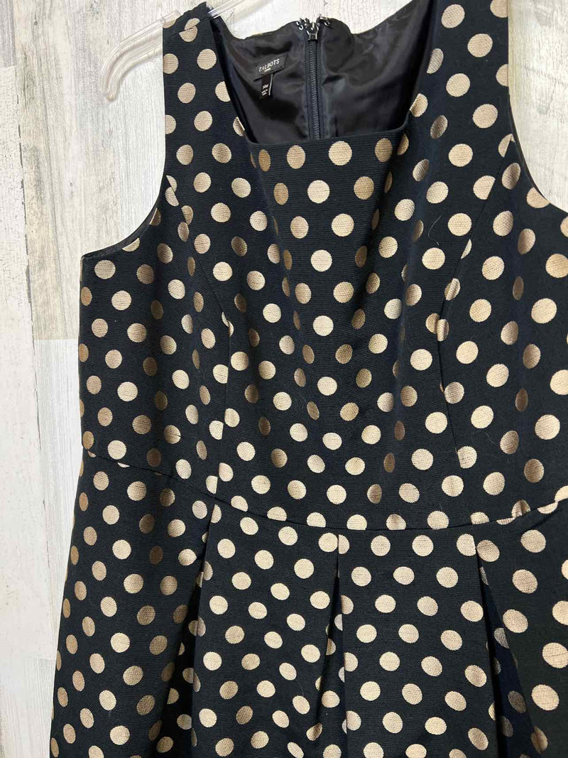 Size 14 Talbots Dress