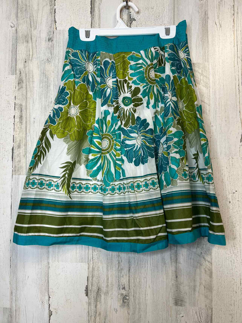 Size 2 Ann Taylor Skirt