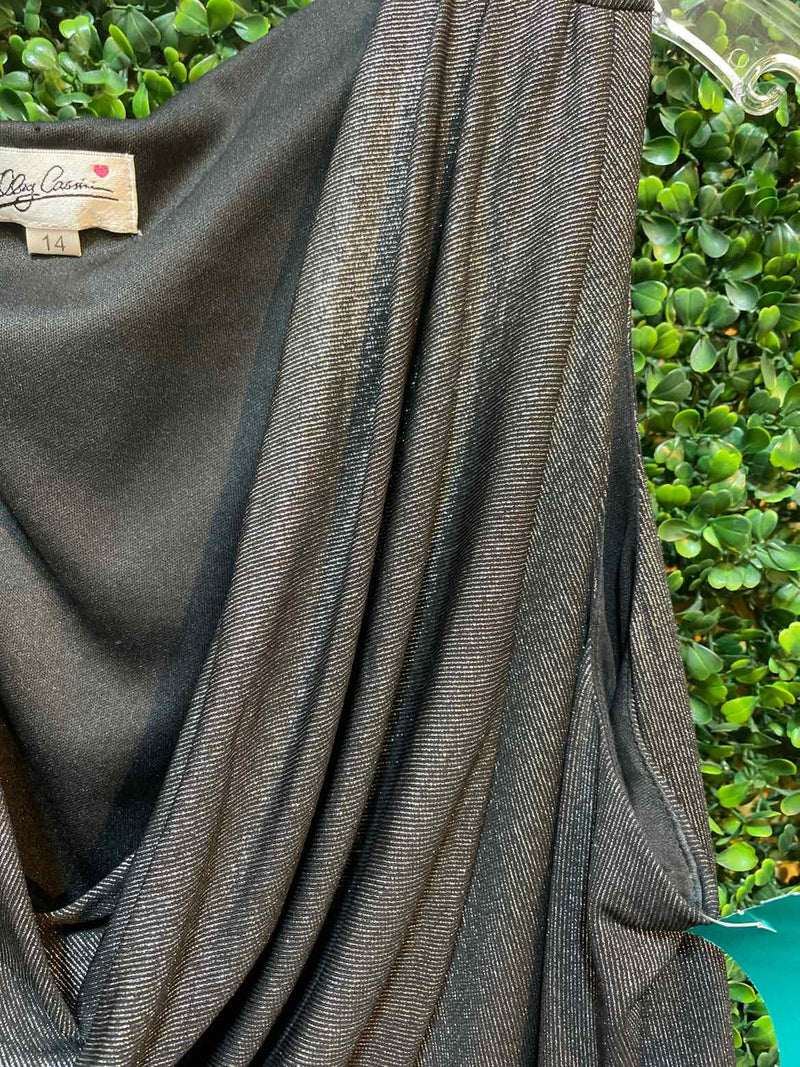 Size 14 Oleg Cassini Dress