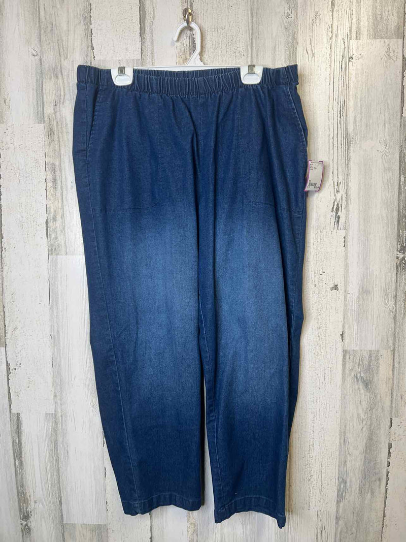 Size 22 Woman Within Pants