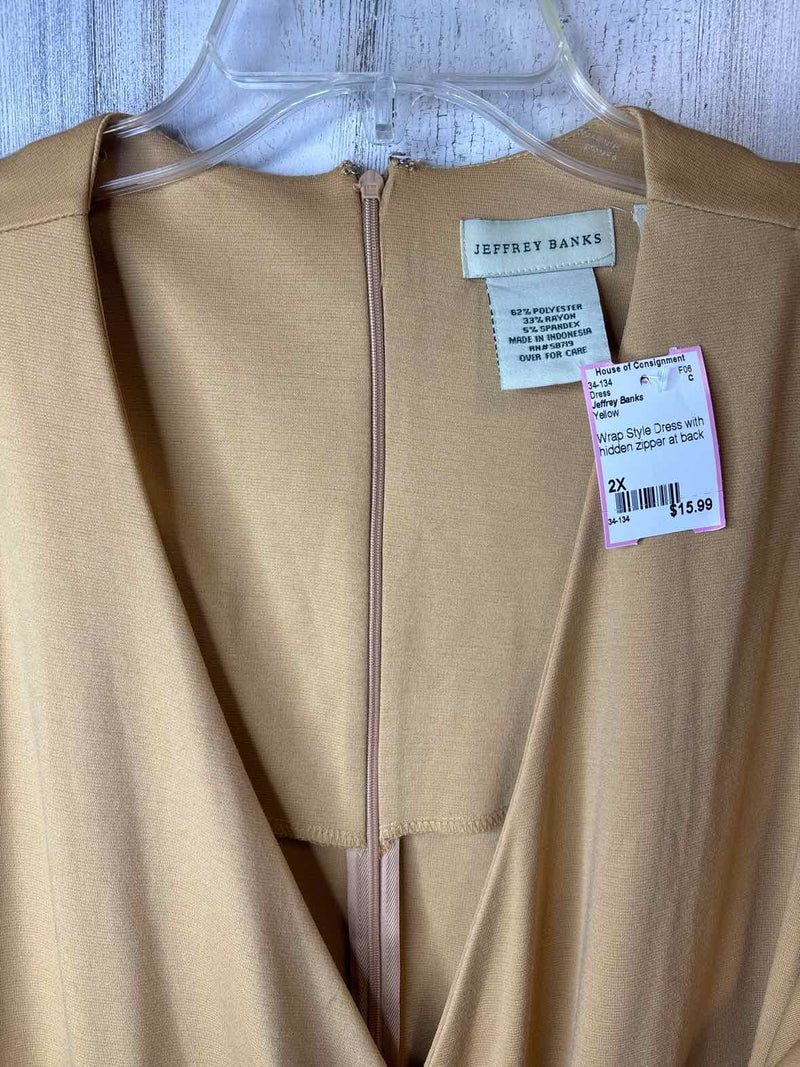Size 2X Jeffrey Banks Dress