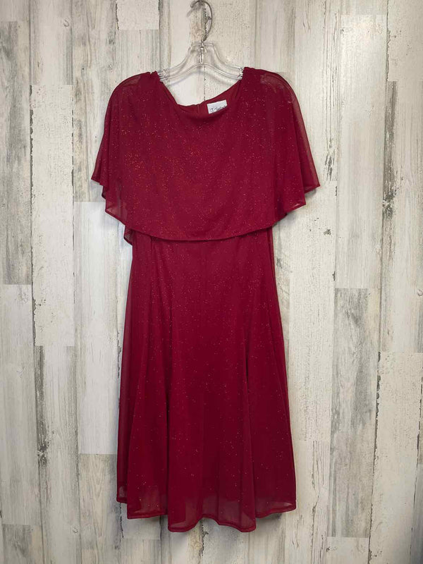 Size 14 Boutique Dress